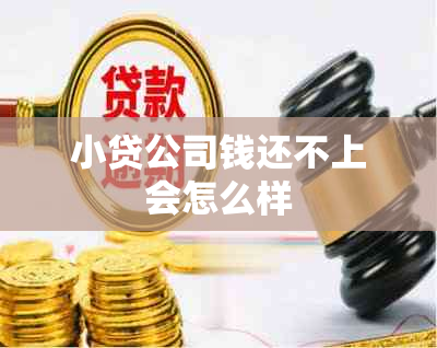 小贷公司钱还不上会怎么样