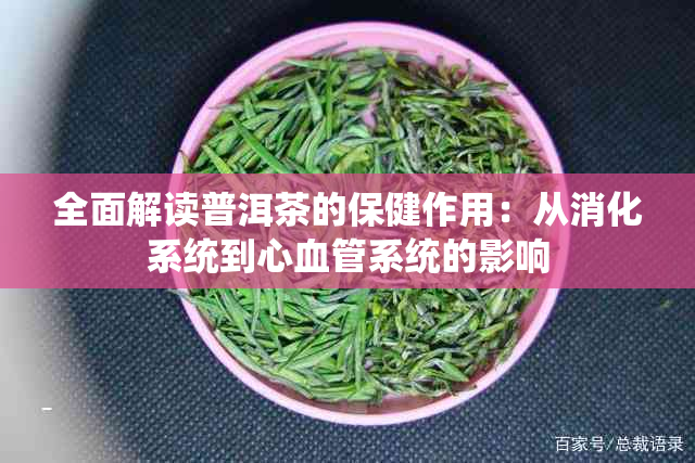 全面解读普洱茶的保健作用：从消化系统到心血管系统的影响