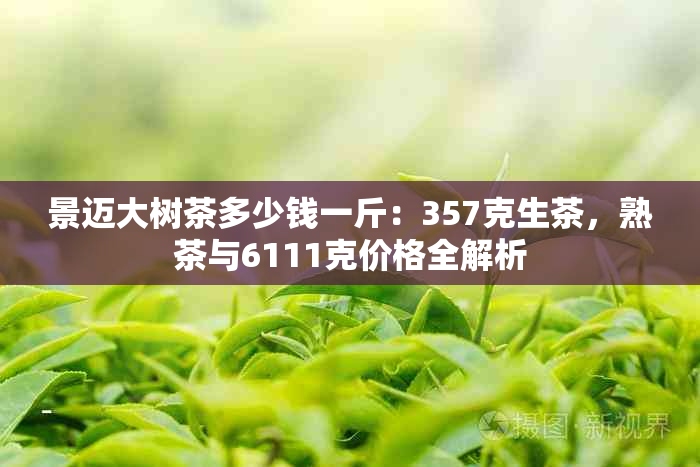 景迈大树茶多少钱一斤：357克生茶，熟茶与6111克价格全解析