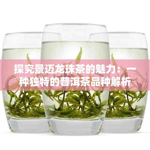 探究景迈龙珠茶的魅力：一种独特的普洱茶品种解析