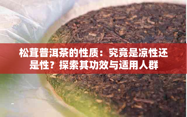 松茸普洱茶的性质：究竟是凉性还是性？探索其功效与适用人群