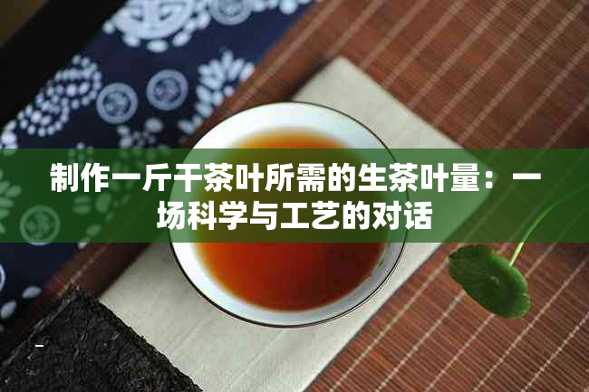 制作一斤干茶叶所需的生茶叶量：一场科学与工艺的对话