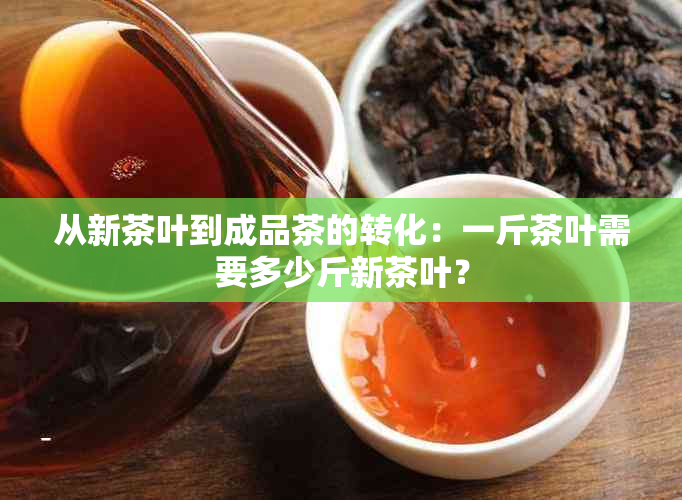 从新茶叶到成品茶的转化：一斤茶叶需要多少斤新茶叶？