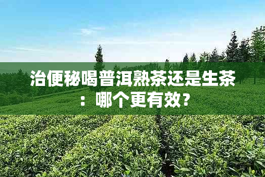 治便秘喝普洱熟茶还是生茶：哪个更有效？