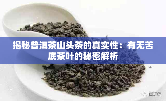 揭秘普洱茶山头茶的真实性：有无苦底茶叶的秘密解析