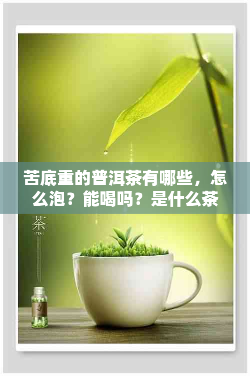 苦底重的普洱茶有哪些，怎么泡？能喝吗？是什么茶？