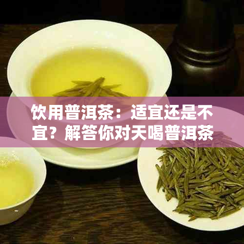 饮用普洱茶：适宜还是不宜？解答你对天喝普洱茶的所有疑问