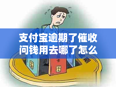 支付宝逾期了问钱用去哪了怎么办