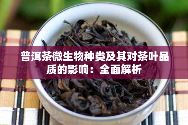 普洱茶微生物种类及其对茶叶品质的影响：全面解析