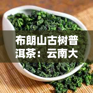 布朗山古树普洱茶：云南大叶茶的魅力与品质详解