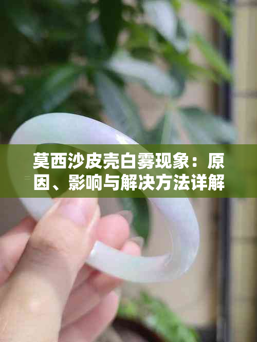 莫西沙皮壳白雾现象：原因、影响与解决方法详解