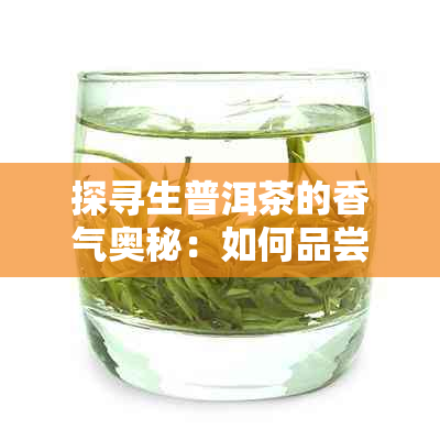 探寻生普洱茶的香气奥秘：如何品尝这种独特的香味？