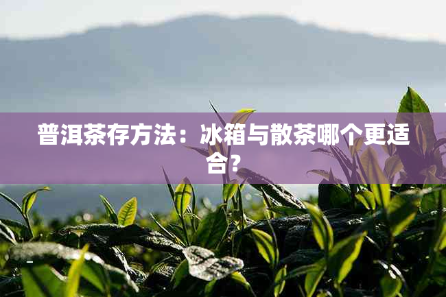 普洱茶存方法：冰箱与散茶哪个更适合？