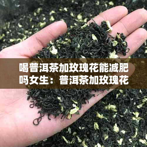 喝普洱茶加玫瑰花能减肥吗女生：普洱茶加玫瑰花的功效、作用与减肥效果。