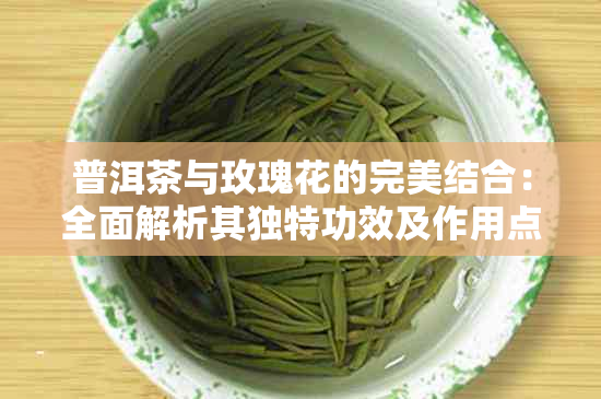 普洱茶与玫瑰花的完美结合：全面解析其独特功效及作用点