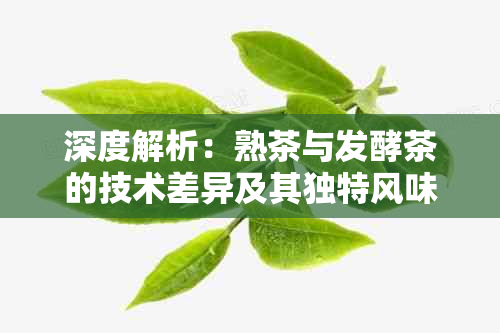 深度解析：熟茶与发酵茶的技术差异及其独特风味形成原理