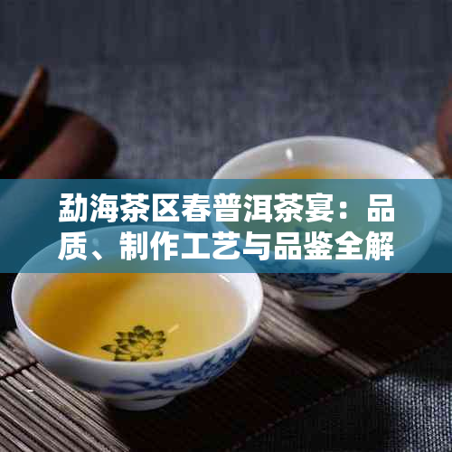 勐海茶区春普洱茶宴：品质、制作工艺与品鉴全解析