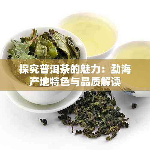 探究普洱茶的魅力：勐海产地特色与品质解读