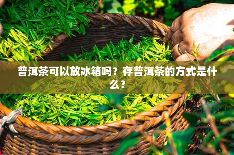 普洱茶可以放冰箱吗？存普洱茶的方式是什么？