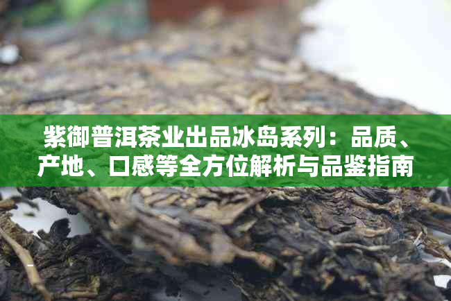 紫御普洱茶业出品冰岛系列：品质、产地、口感等全方位解析与品鉴指南