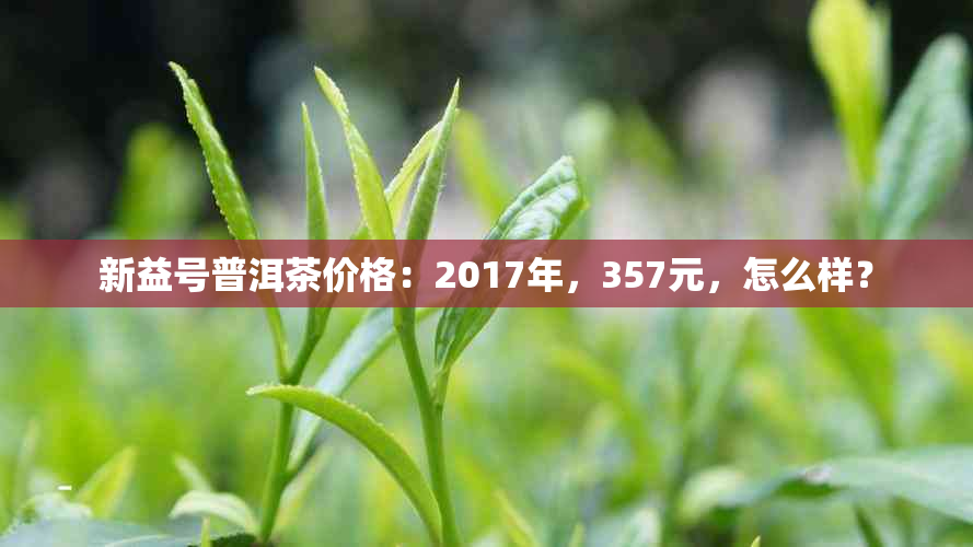 新益号普洱茶价格：2017年，357元，怎么样？