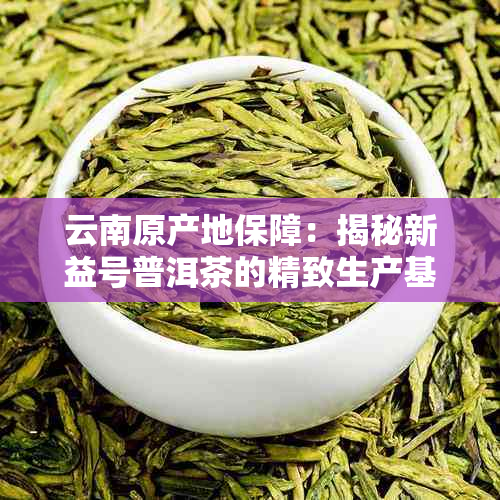 云南原产地保障：揭秘新益号普洱茶的精致生产基地