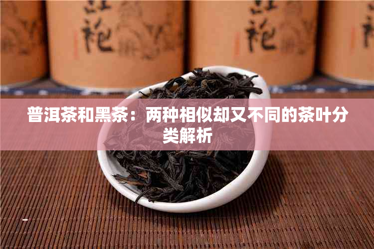 普洱茶和黑茶：两种相似却又不同的茶叶分类解析