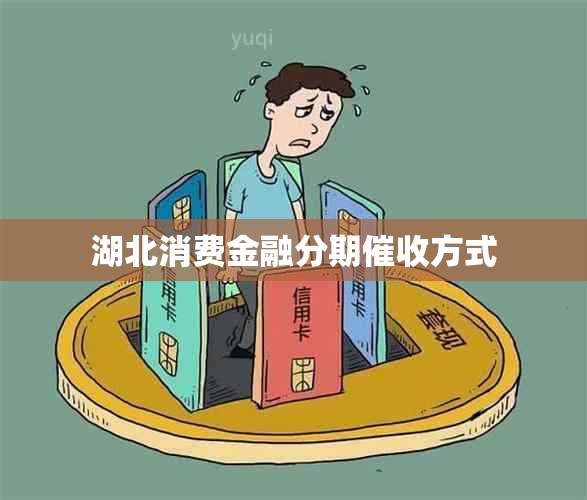 湖北消费金融分期方式