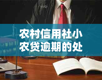 农村信用社小农贷逾期的处罚措有哪些