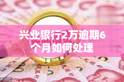 兴业银行2万逾期6个月如何处理