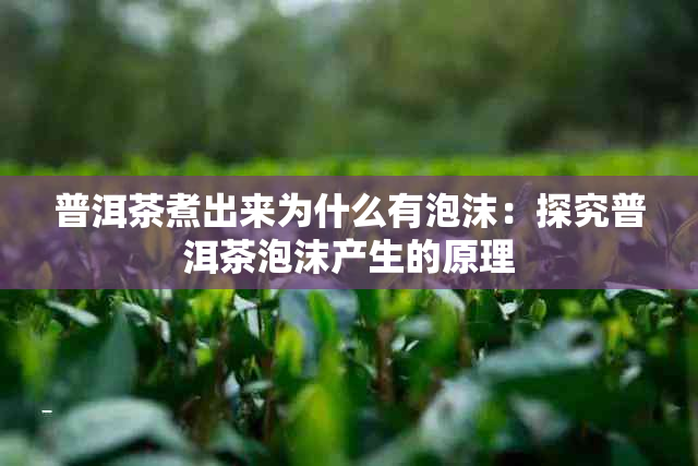 普洱茶煮出来为什么有泡沫：探究普洱茶泡沫产生的原理