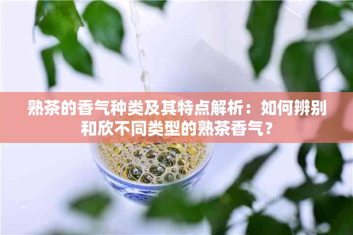 熟茶的香气种类及其特点解析：如何辨别和欣不同类型的熟茶香气？