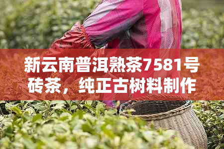 新云南普洱熟茶7581号砖茶，纯正古树料制作，收藏级品质，现价优中！