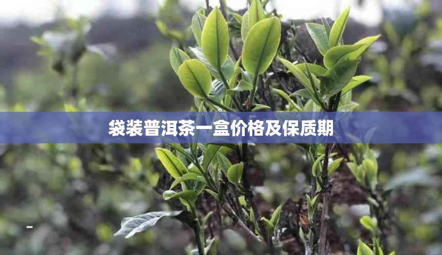 袋装普洱茶一盒价格及保质期