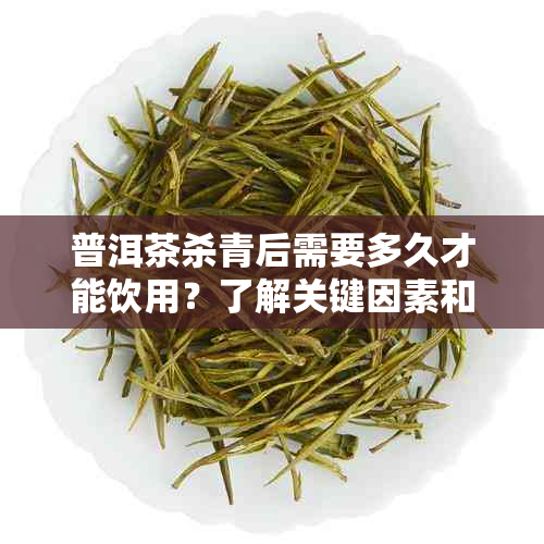 普洱茶杀青后需要多久才能饮用？了解关键因素和正确冲泡方法