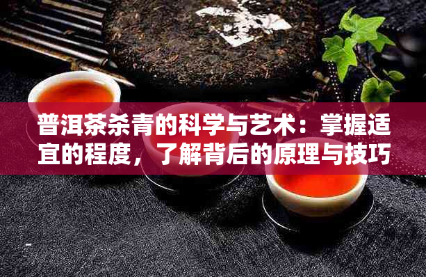 普洱茶杀青的科学与艺术：掌握适宜的程度，了解背后的原理与技巧