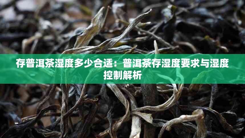 存普洱茶湿度多少合适：普洱茶存湿度要求与湿度控制解析