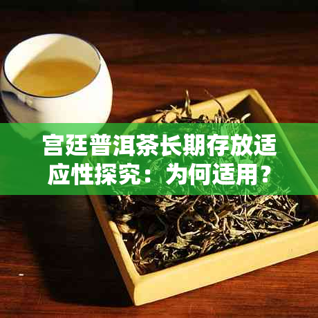 宫廷普洱茶长期存放适应性探究：为何适用？