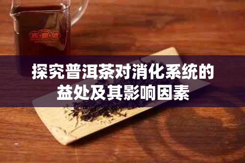 探究普洱茶对消化系统的益处及其影响因素