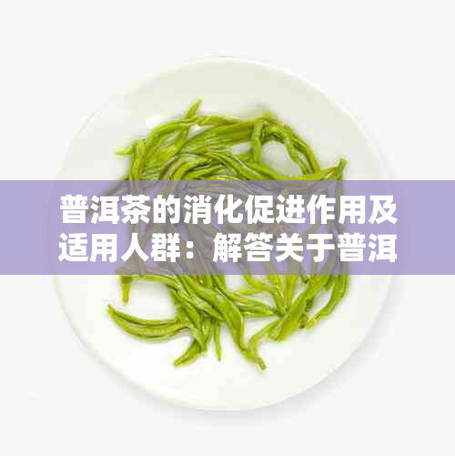 普洱茶的消化促进作用及适用人群：解答关于普洱茶如何帮助消化的所有疑问