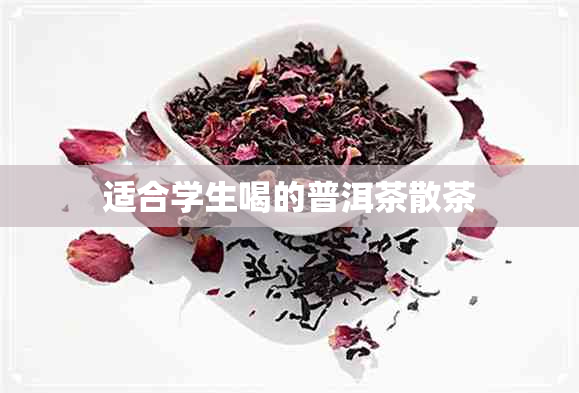 适合学生喝的普洱茶散茶