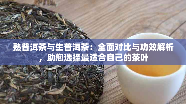 熟普洱茶与生普洱茶：全面对比与功效解析，助您选择最适合自己的茶叶