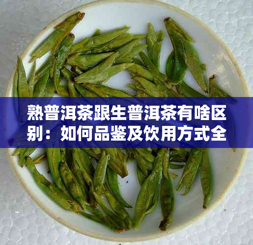 熟普洱茶跟生普洱茶有啥区别：如何品鉴及饮用方式全解析