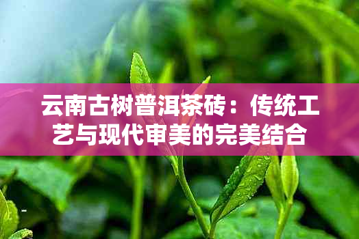 云南古树普洱茶砖：传统工艺与现代审美的完美结合