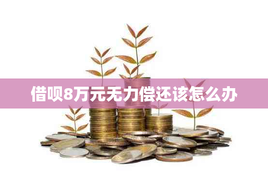 借呗8万元无力偿还该怎么办