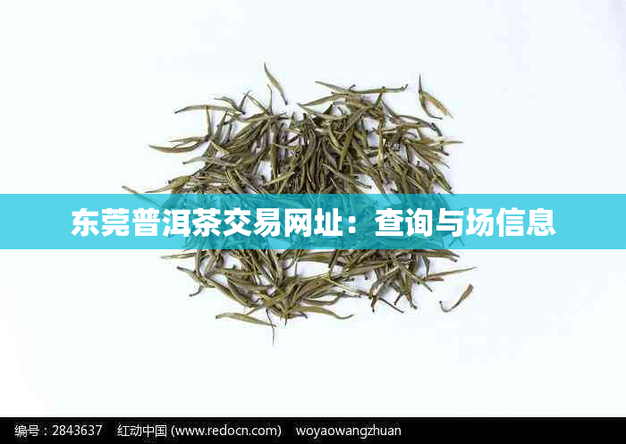 东莞普洱茶交易网址：查询与场信息