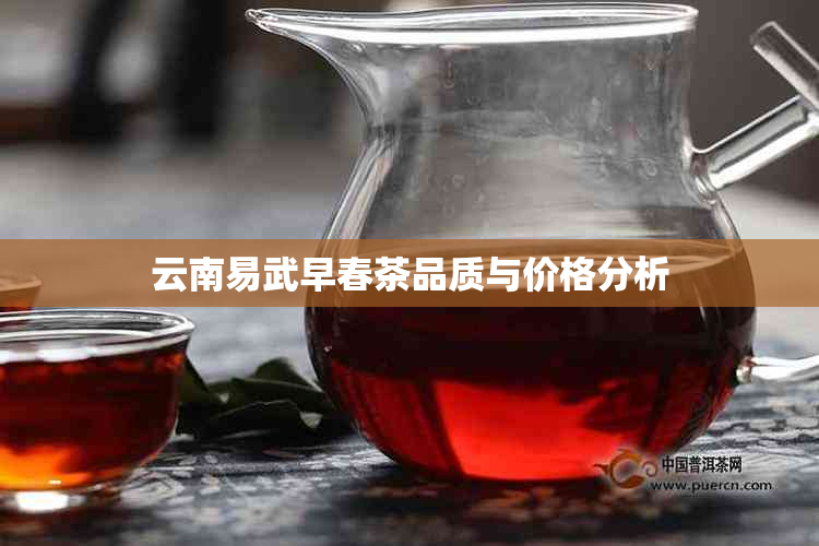 云南易武早春茶品质与价格分析