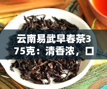 云南易武早春茶375克：清香浓，口感爽的高品质绿茶