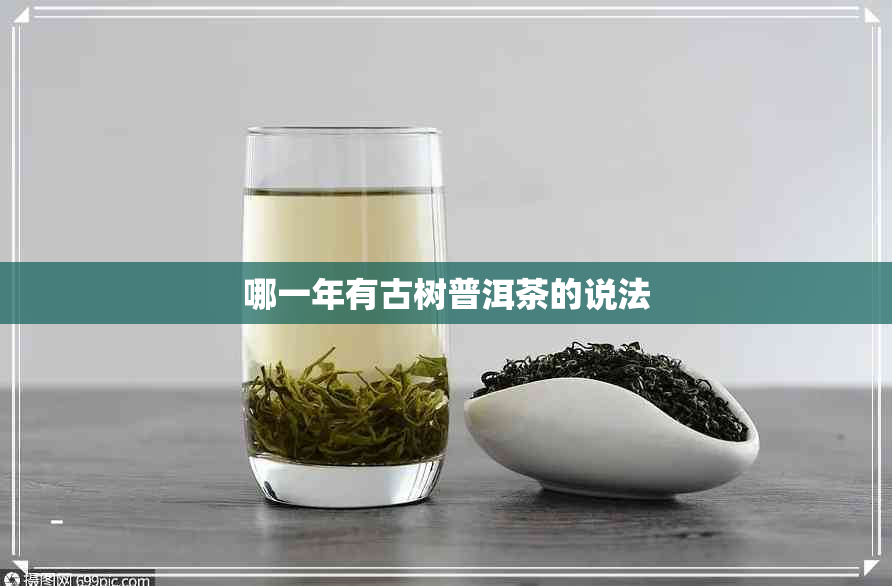 哪一年有古树普洱茶的说法