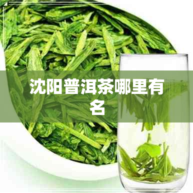 沈阳普洱茶哪里有名